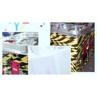 Buicéad Plaisteach Mold